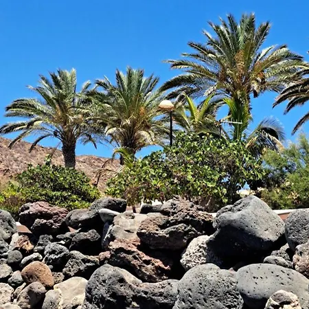 Appartement Casa Beno Palm-mar